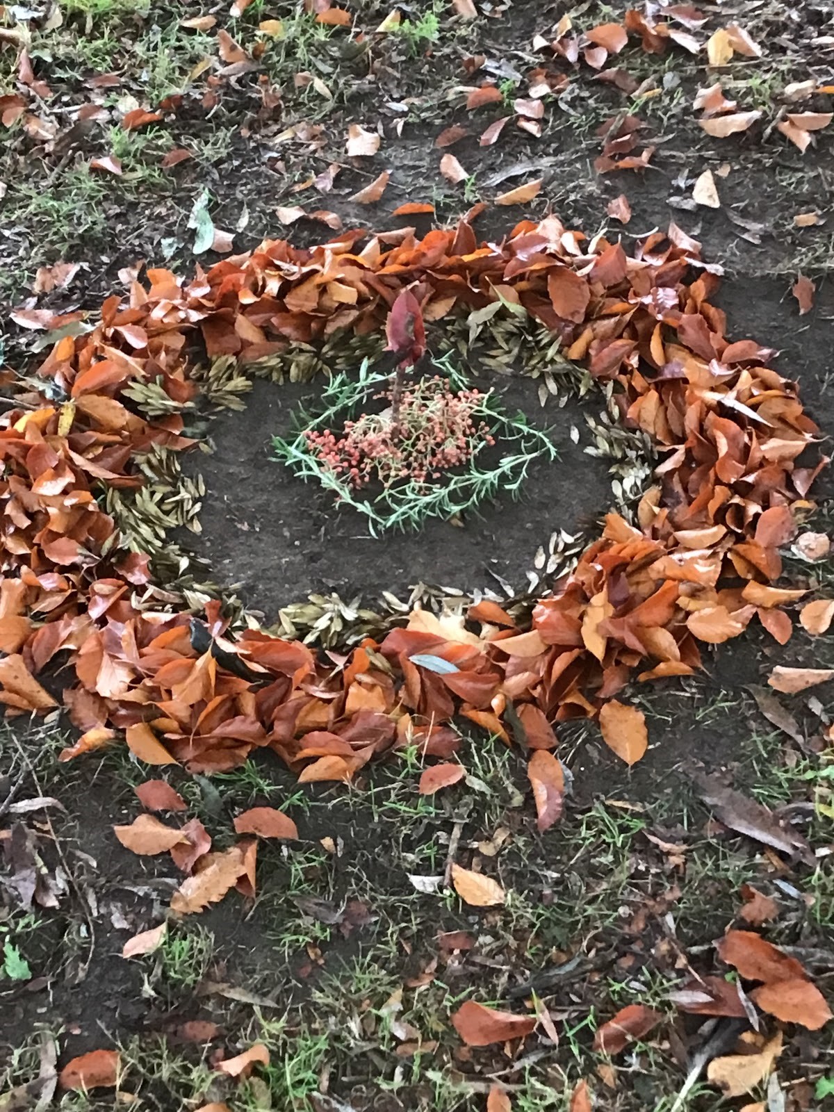 A poppy inspired art installation